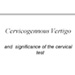 Cervicogennous Vertigo and significance of the cervical test