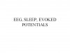 EEG, Sleep, Evoked Potentials