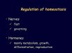 General principles of endocrine physilogy