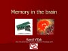 Memory in the brain