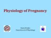 Physiology of Pregnancy