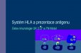 Systém HLA a prezentace antigenu