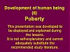 Development of human being (II)Puberty