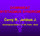 Downbeat nystagmus syndrom