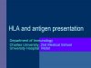 HLA and antigen presentation II