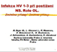 Infekce HV 1-3 při postižení NS. Role OL.