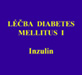 Léčba diabetes mellitus I a II, Inzulin