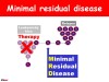 Molecular genetics: diagnosis & research in acute leukaemias