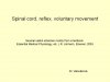 Spinal cord, reflex, voluntary movement