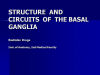 Structure and circuits of the basal ganglia